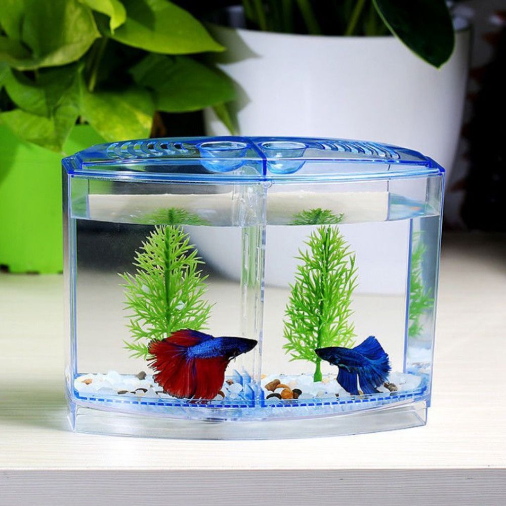 Betta Fish Tank - Transparentes Betta-Aquarium, Doppelgitter-Rhombus-Guppy-Aquarium, Brut-und Zucht isolation