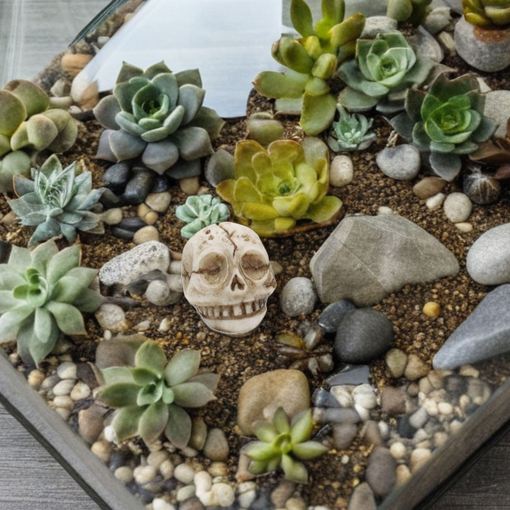 20 Stück Resin-Smiley-Schädel- – Aquarium Decor Bewertung und Preis