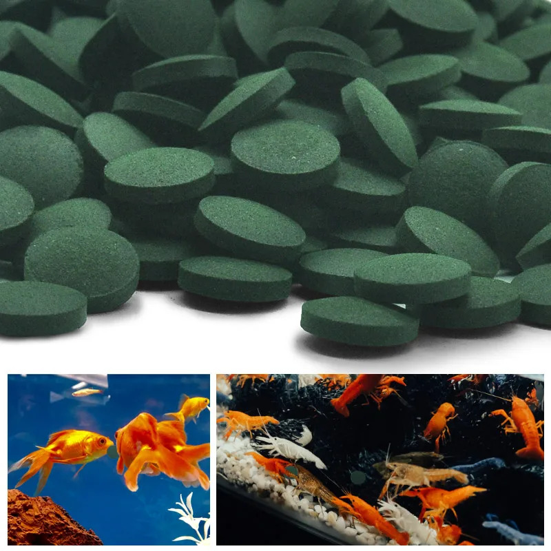 200 Stück Spirulina-Tabletten, – Fish Food Bewertung und Preis