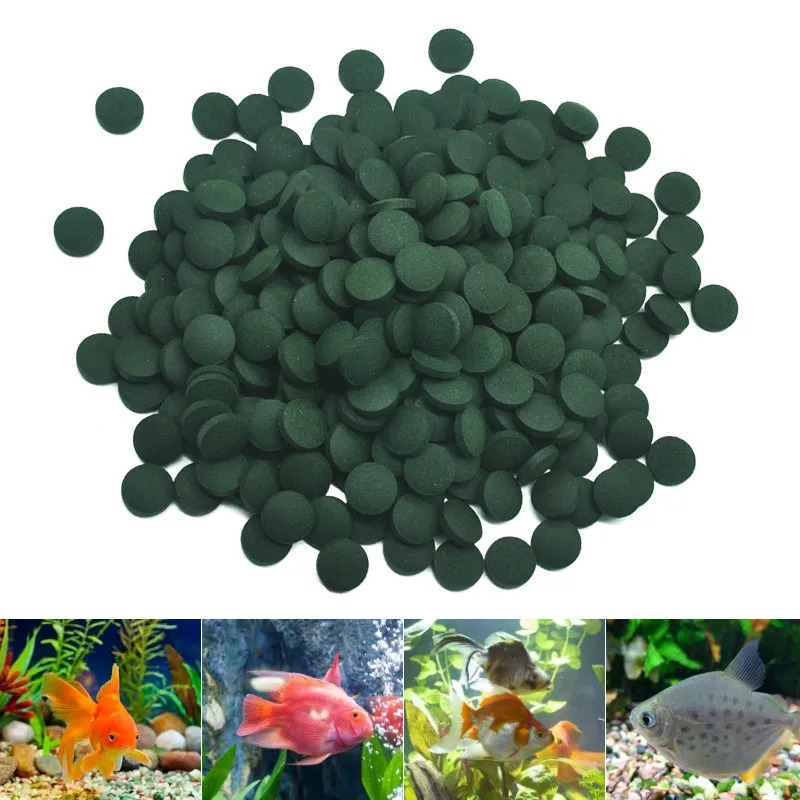 200 Stück Spirulina-Tabletten, – Fish Food Bewertung und Preis