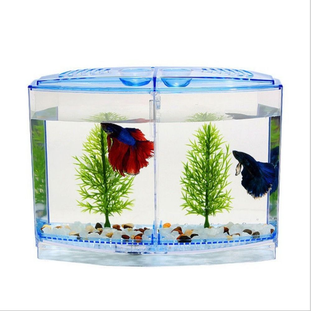 Transparentes Betta-Aquarium,  – Betta Fish Tank Bewertung und Preis