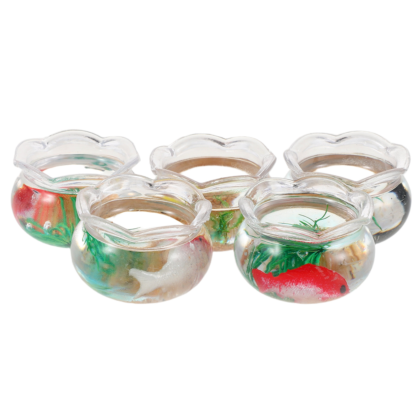 5 Stück Mini-Aquarium mit real – Aquarium Plants Bewertung und Preis