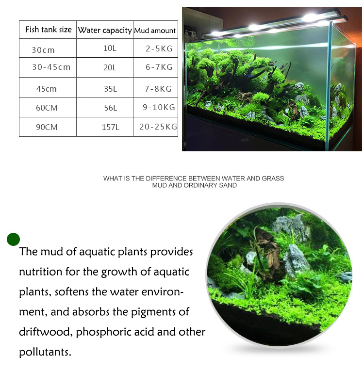 Aquarium Pflanzen Samen Boden  – Fish Tank Gravel Bewertung und Preis