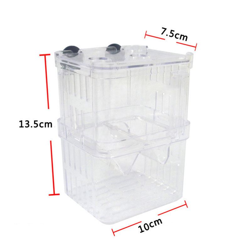 Pfau Fisch Zucht Isolation Box – Betta Fish Tank Bewertung und Preis