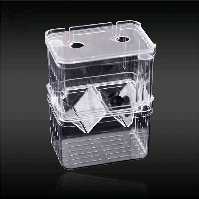 Pfau Fisch Zucht Isolation Box – Betta Fish Tank Bewertung und Preis
